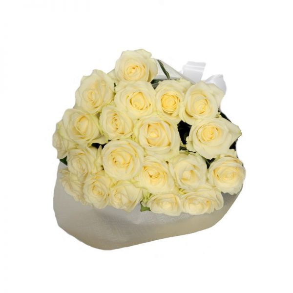 POKLONITE OSMIJEH, POKLONITE CVIJEĆE